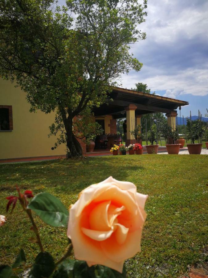 קאפאנורי B&B La Fornace Del Sole מראה חיצוני תמונה